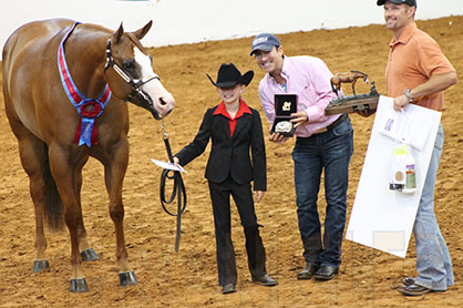 Equine Chronicle Youth Aged AjPHA Halter Winners Are Presley Parker/FF Infallible and Renee Conklin/Mr. Swartznager