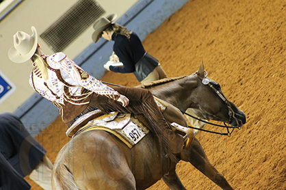 AQHA Announces Show Rule Changes For 2018