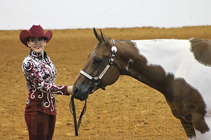 2014 AjPHA Youth World Show Pattern Book Now Online