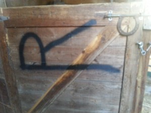 In addition to cutting off Dusty's mane, tail, and spray painting his body, vandals also spray painted his stall door with the letter R.