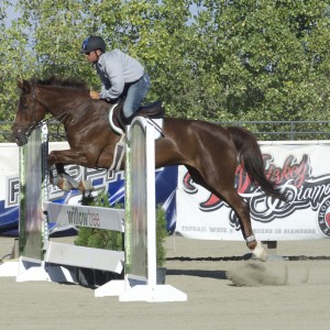 Andrea Fappani during the Trading Reins event. ©Alden Corrigan