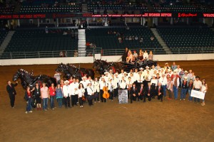 Photo courtesy of Calgary Stampede.