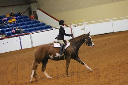 Day 3 Photos at AjPHA/ApHC Youth World Show