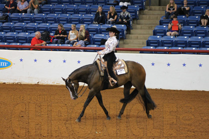 Day 7 Photos at 2014 AjPHA Youth World Show