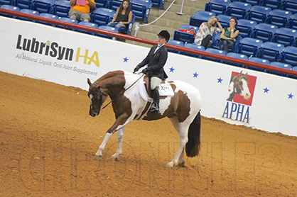 13 and Under and 14-18 AjPHA Equitation World Champions Are Olivia Eagles and Kelsey Jung