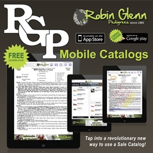 AQHA and Robin Glenn Pedigrees Release New Equine Auction Catalog App