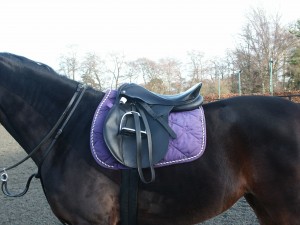 The seat of the saddle tips back. The panels of the saddle have contact with the horse’s back at the front and the back but not under the middle of the saddle. This is called bridging and causes focal pressure under the front and back of the saddle. 