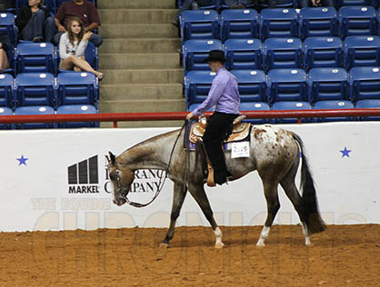 Nominate Yearlings For 2018 ApHC World Show 2-Year-Old Incentive Classes by Dec. 15th