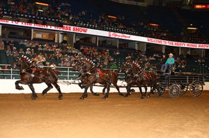 Photo courtesy of Calgary Stampede.