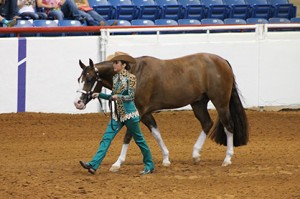Anne-Marie Fortenberry