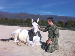 “Lone Survivor” Retreats Use Healing Power of Horses to Help Military Vets Suffering From PTSD