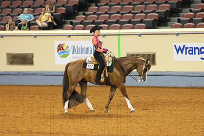 8 Collegiate Riders Will Compete in AZ. Sun Circuit Horsemanship Invitational This Weekend