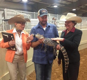 judge with alligator