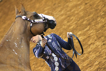 Results of 2014 AjPHA/ApHC Youth World Show Judging Contest