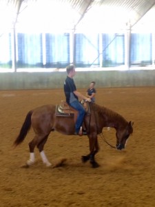 Team New Zealand rider Dan Carlisle and his borrowed AQHA team mate Batton Down the Star preparing for The Youth World Cup Competition on Thursday. Photo courtesy of Ali Fratessa.