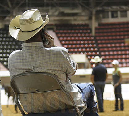 Check out the AQHA World Show Sale Catalog Now Online