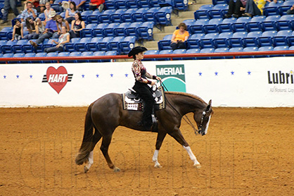 Eagles and Orsak Dominate AjPHA 13 and Under and 14-18 Horsemanship