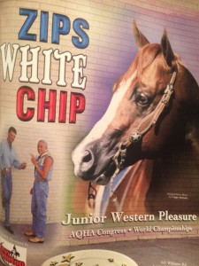 The Equine Chronicle August/September Quarter Horse Congress Edition 2001