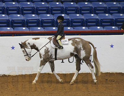 Teeny, Tiny Talent at 2014 AjPHA Youth World Show