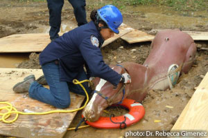 Mounted police in NYC practice extrication of their mannequin from the mud.