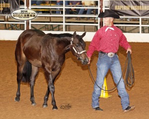 BCF Open Western Yearling Longe Line Champion- Kenny Lakins with Im Fancy Schmancy