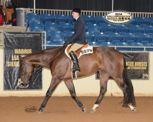 3-Year-Old Novice Horse Hunter Under Saddle Champion- Rhonda Spratto with The Kids Got Moxie