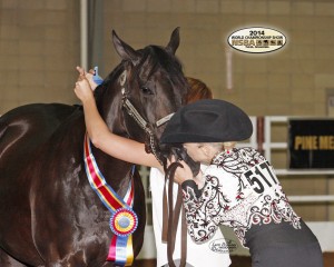 BCF 50 and Over Amateur Showmanship Champion- Christine Hocutt-Senteney with Believe Hes Blazing