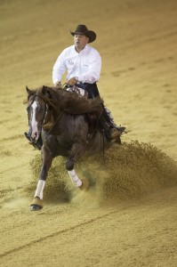 Andrea Fappani, (USA), with Custom Cash Advance. Photo courtesy FEI/Hippo Foto Team/Dirk Caremans.