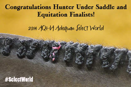 Congratulations 2014 AQHA Adequan Select World Show Hunter Under Saddle and Equitation Finalists!