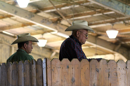 AQHA’s Pete Kyle Explains New World Show “Obvious Lameness” Inspection Procedure and Other World Show Additions