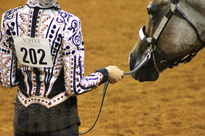 Congratulations 2014 AQHYA World Show Showmanship Finalists!