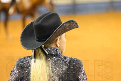 Congratulations 2014 AQHYA World Show Western Pleasure Finalists!