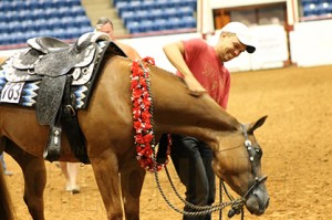 Gingersnap gets a neck scratch for a job well done. 