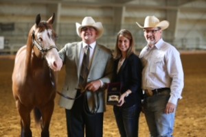 Amateur Halter Geldings, All Ages—Blacklist, exhibited and owned by Dale Brelsford. Photo courtesy of APHA.