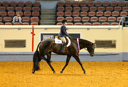 Returning Champs, Katerina Mendel and Willys On The Green, Win AQHYA World Show Hunter Under Saddle Once Again