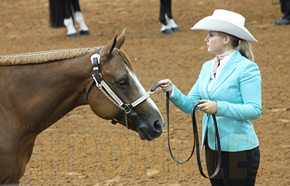 Confused About How to Find Your AQHA Level?