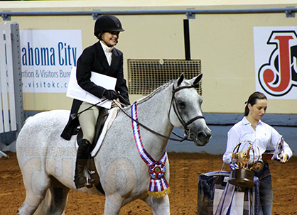 Lindsey Whitehead and Skys Blue Sequel Soar to Working Hunter Win at 2014 AQHYA World
