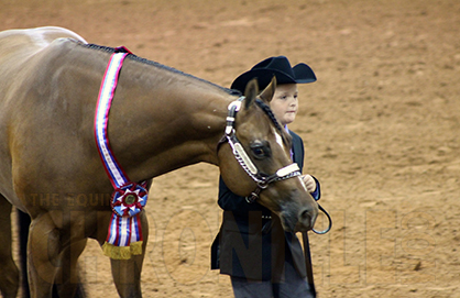 11-Year-Old Reece Hooker and I’m Plumb Obvious Win 66 Entry Performance Halter Geldings