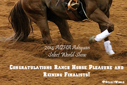 Congratulations AQHA Select World Show Ranch Horse Pleasure and Reining Finalists!