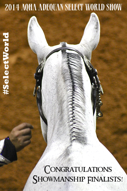 Congratulations AQHA Select World Show Showmanship Finalists!