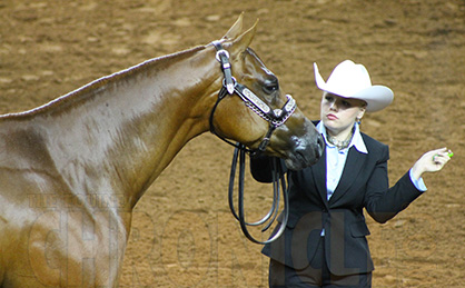 Shyanne Smith Leads PF Supreme Surprise to Unanimous Win in Aged Mares