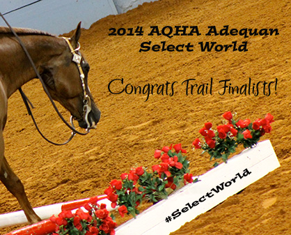 Congratulations 2014 AQHA Adequan Select World Show Trail Finalists!
