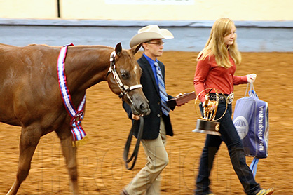 Justin Ware and My Ohhh My Win Yearling Fillies at 2014 AQHYA World Show