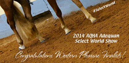 Congratulations 2014 AQHA Adequan Select World Show Western Pleasure Finalists!