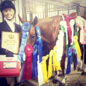 Photo courtesy of Mark Harrell Horse Shows.