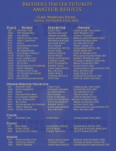 BHF Amateur weanling fillies Results 2014