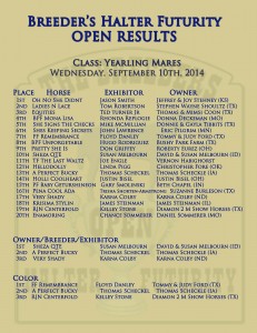 BHF Open Yearling Mares Results 2014