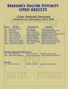 BHF Open Yearling Stallions Results 2014