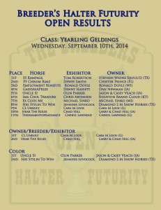 BHF Open yearling Geldings Results 2014