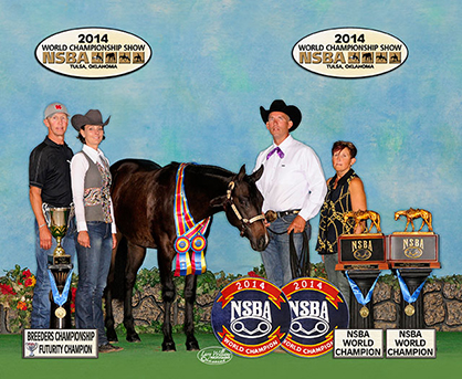 2014 Quarter Horse Congress Super Sale Catalog Now Online
